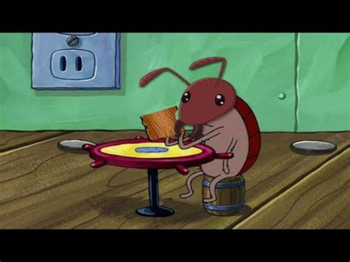 A Termite Walks Into A Bar