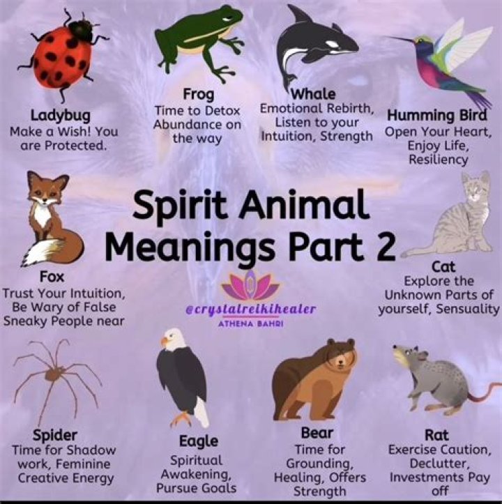 Animal Spirits - How To Discuss