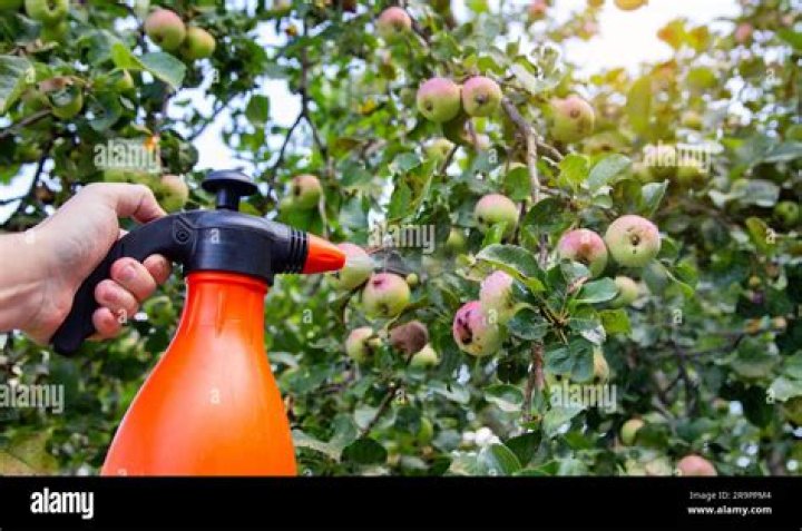 Apple tree spray - How To Discuss