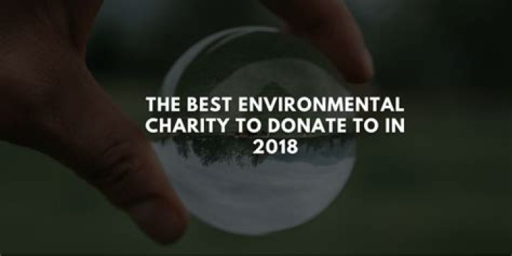 Best environmental charities - How To Discuss