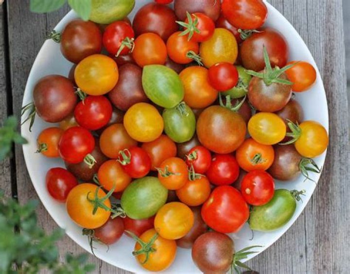 Best tasting tomatoes - How To Discuss