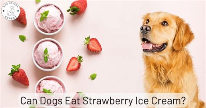 Can Dogs Eat Strawberry Ice Cream