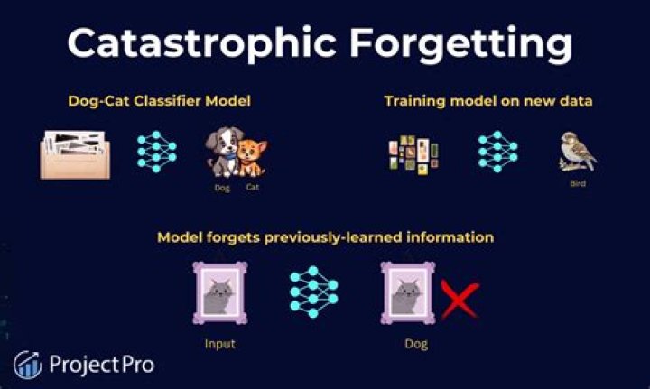 Catastrophic Loss - How To Discuss