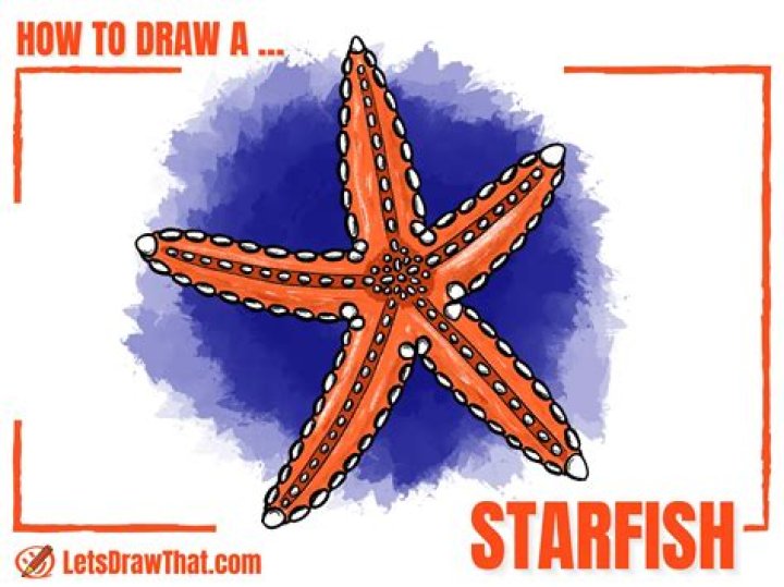 Chocolate Starfish - How To Discuss