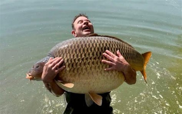 Fishing With Mussels For Carp