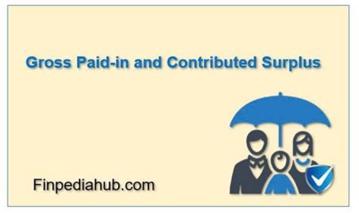 Gross Paid-in And Contributed Surplus