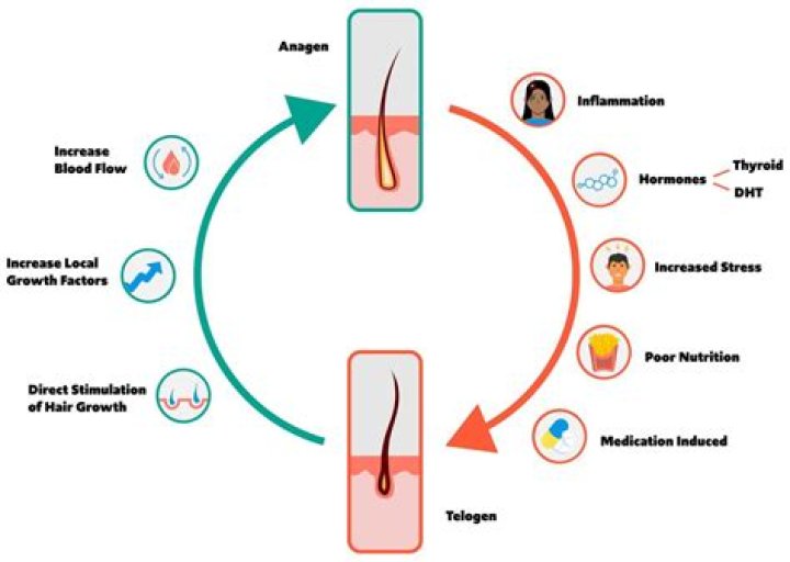 Hair regrowth treatment - How To Discuss