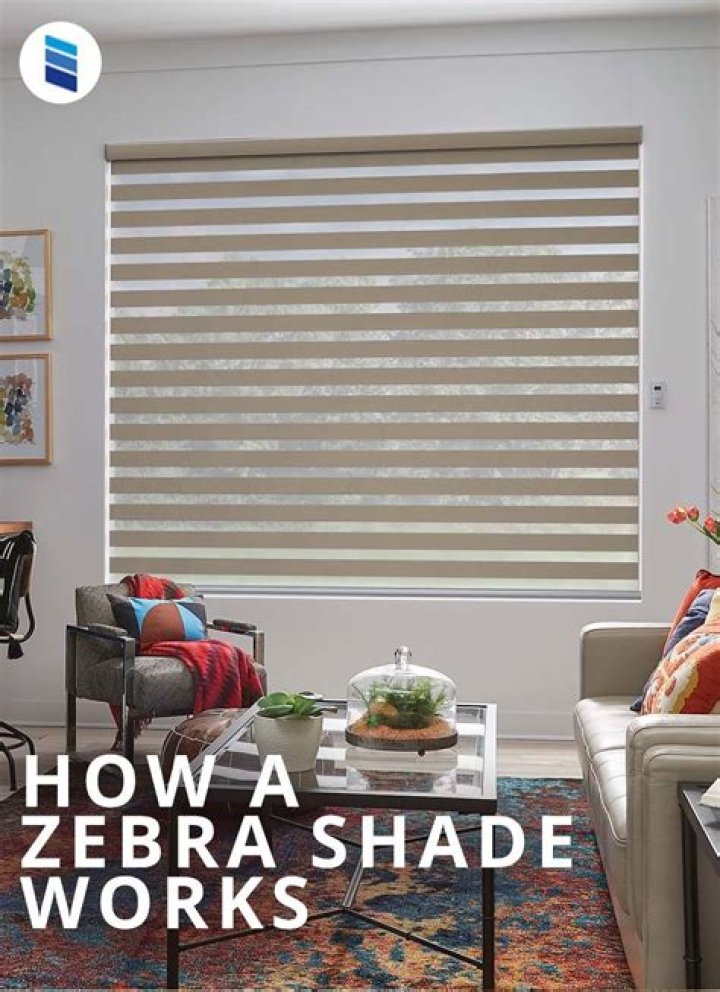 How Do Zebra Shades Work