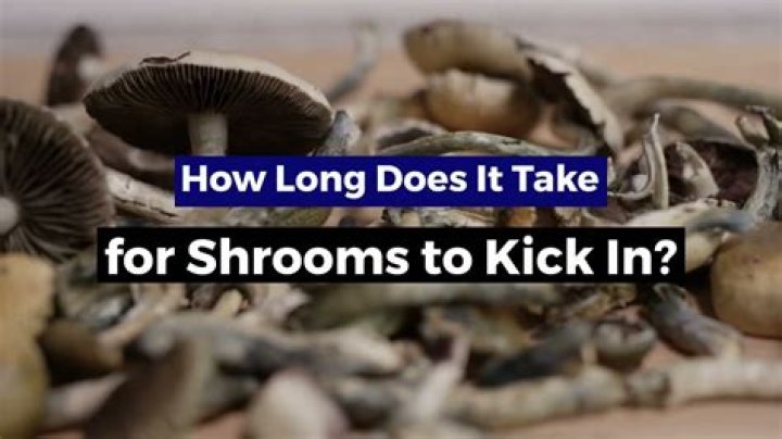 How Long Do Shrooms Take To Kick In