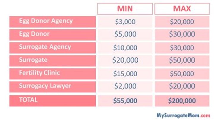 How much do surrogates make
