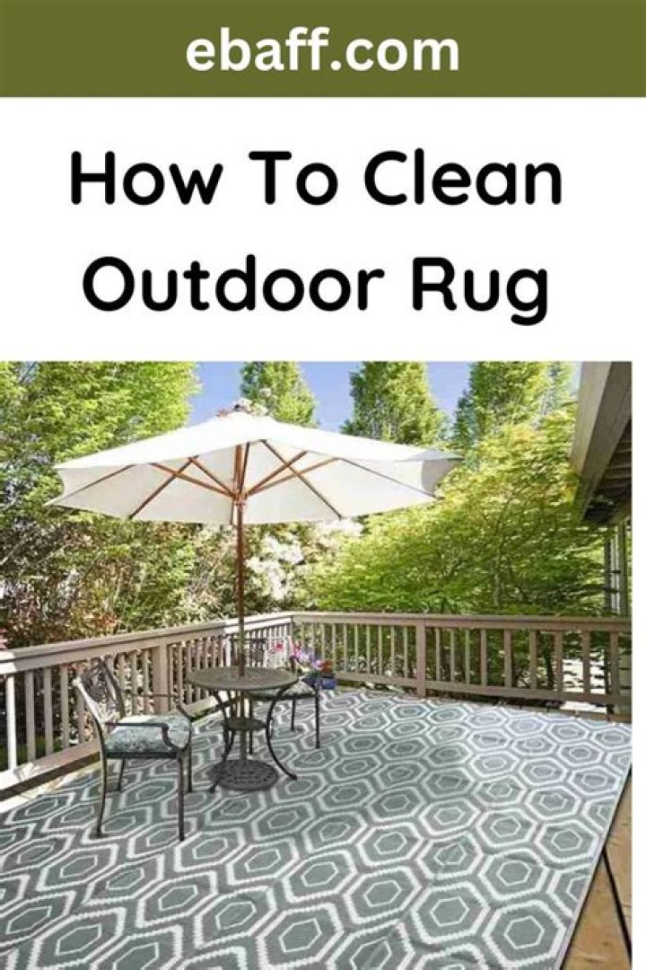 How To Clean Outdoor Rug