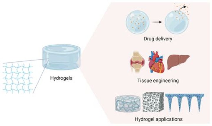 Hydrogels And Its Applications - How To Discuss