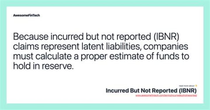 IBNR (Incurred But Not Reported) Provision