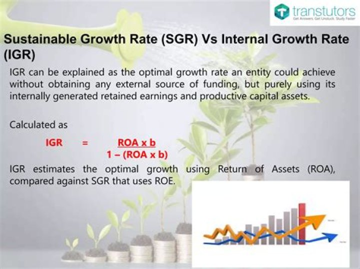 Internal Growth Rate - How To Discuss