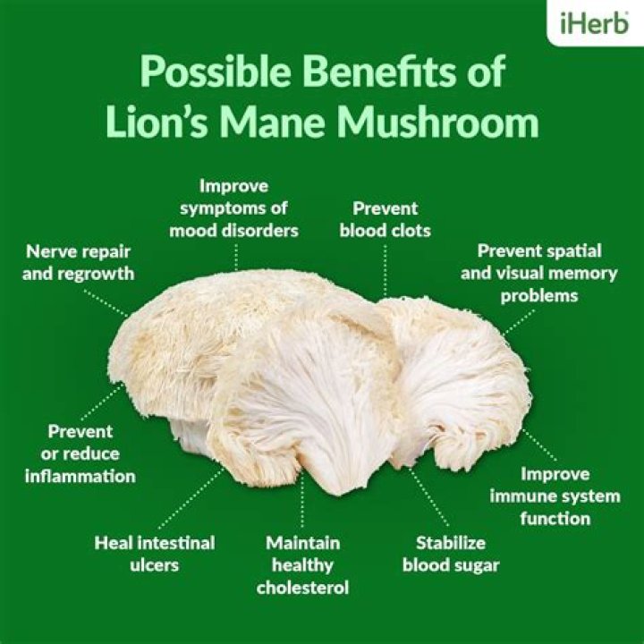 Lion's Mane Mushroom - How To Discuss