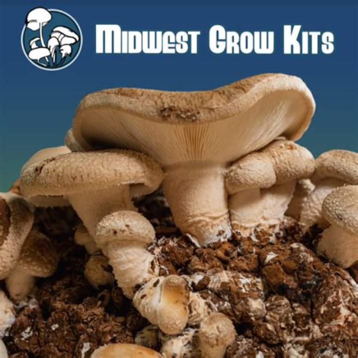 Midwest Grow Kits Review - How To Discuss