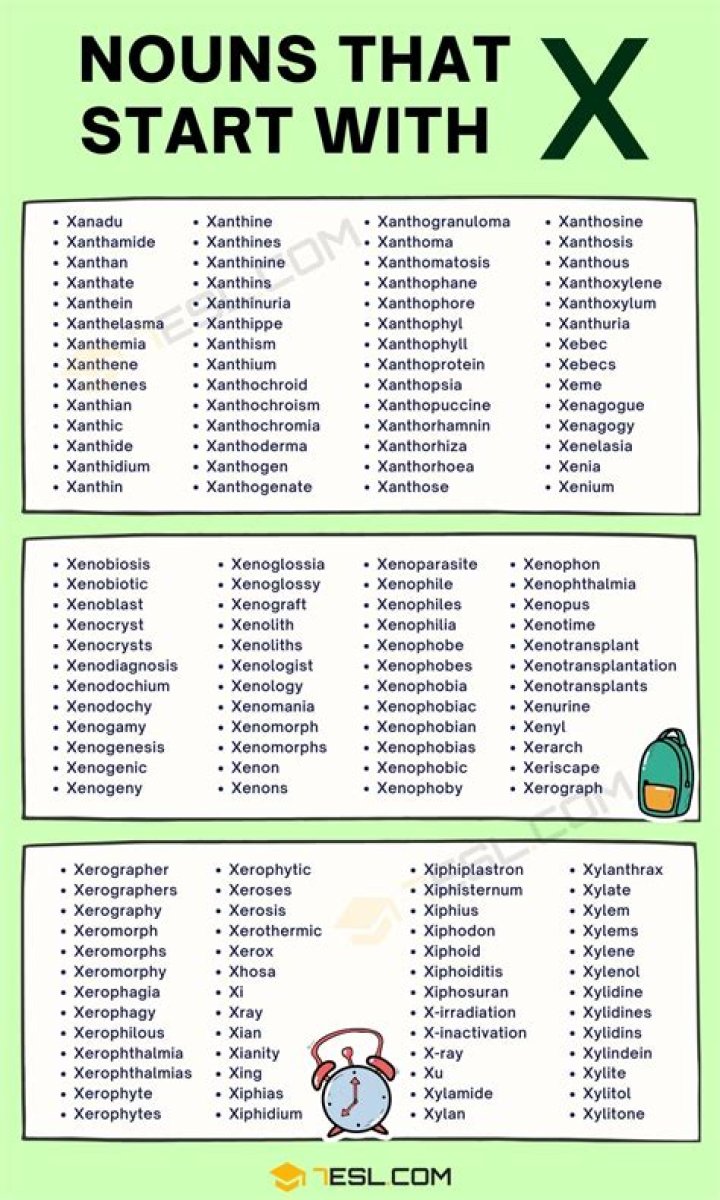 Nouns That Start With X