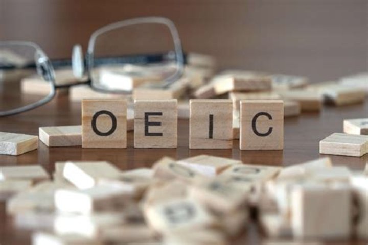 OEIC (Open Ended Investment Company)