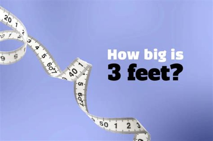 One Meter In Feet - How To Discuss