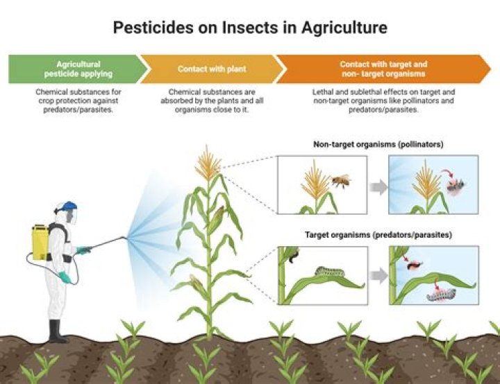 Pesticide sprayer - How To Discuss