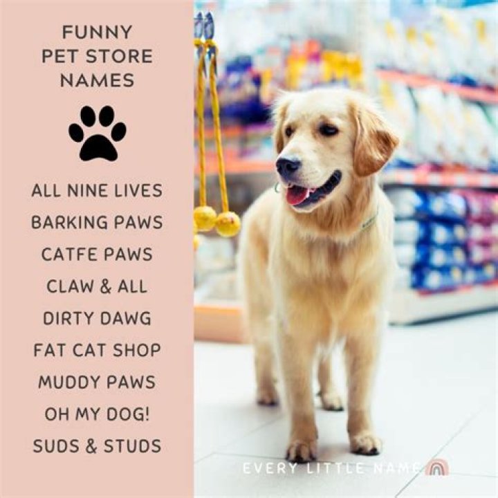 Pet Store Names - How To Discuss