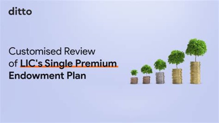 Premium and dispersion credit plan