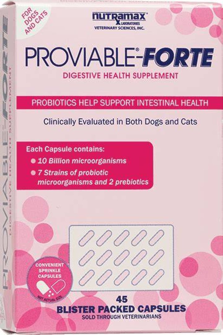 Question: Can Proviable Forte Give My Dog Diarrhea