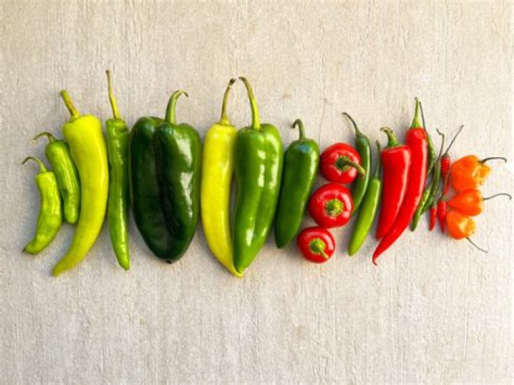 Question: Does.Chilli Pepper Work To Stop Dogs Digging