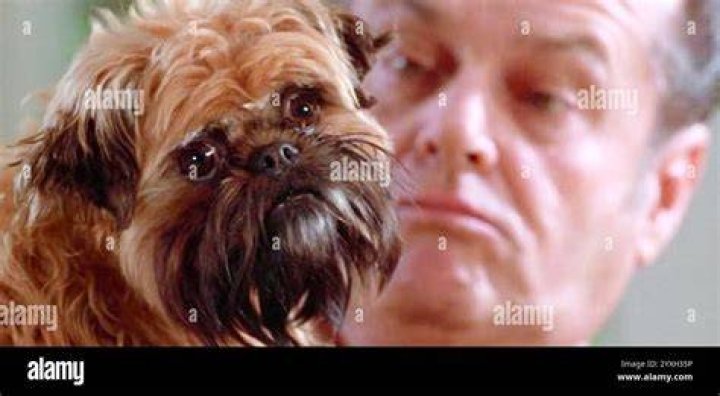Question: Who Was The Dog In As Good As It Gets