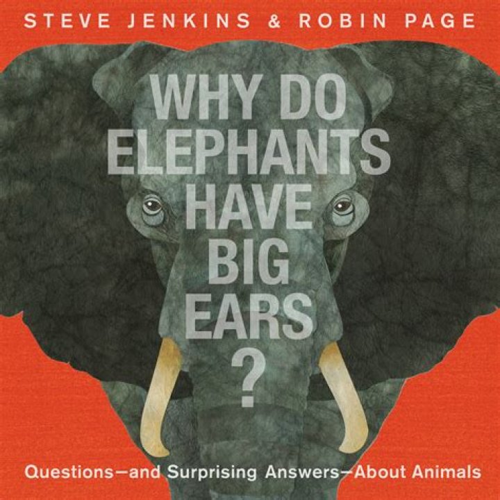 Question: Why Do Elephants Rock Back And Forth