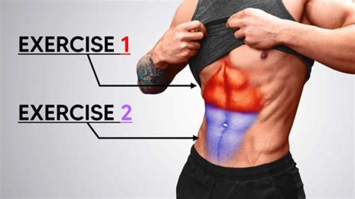 Quick Answer: How Many Abs Do You Have