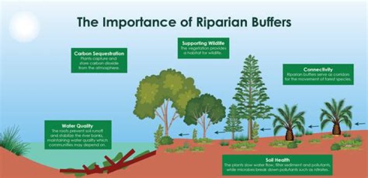 Riparian - How To Discuss