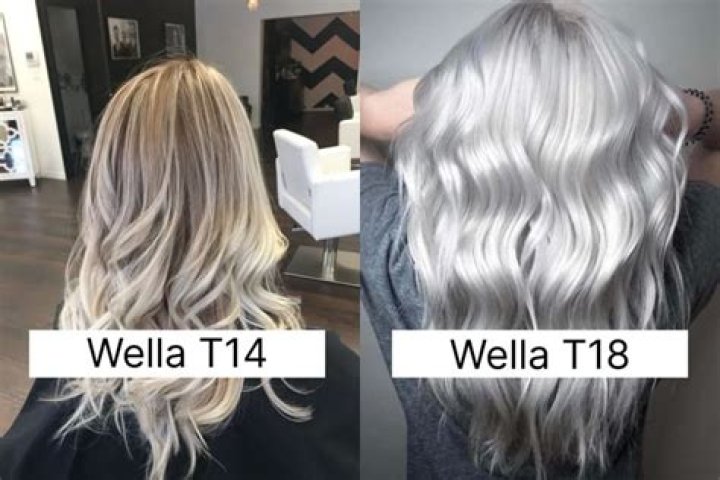 Wella t18 before and after