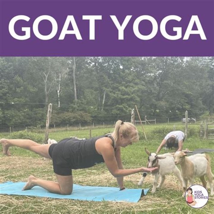 WHAT IS GOAT YOGA - How To Discuss