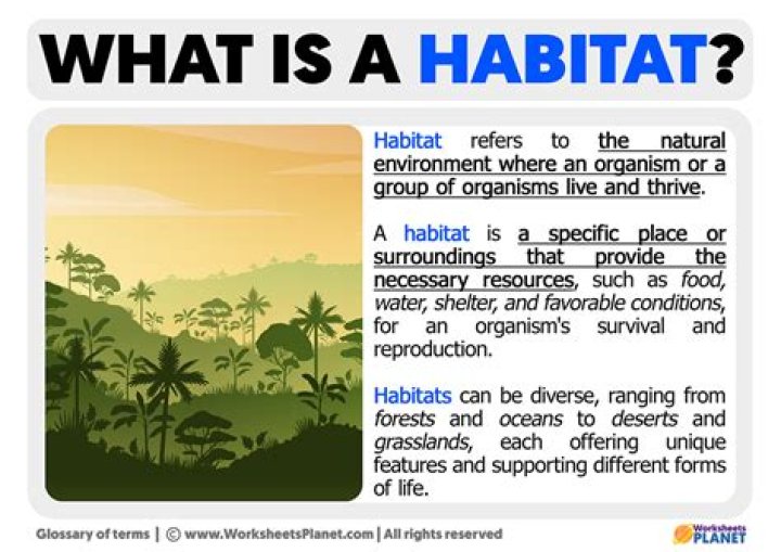 What Is Habitat - How To Discuss