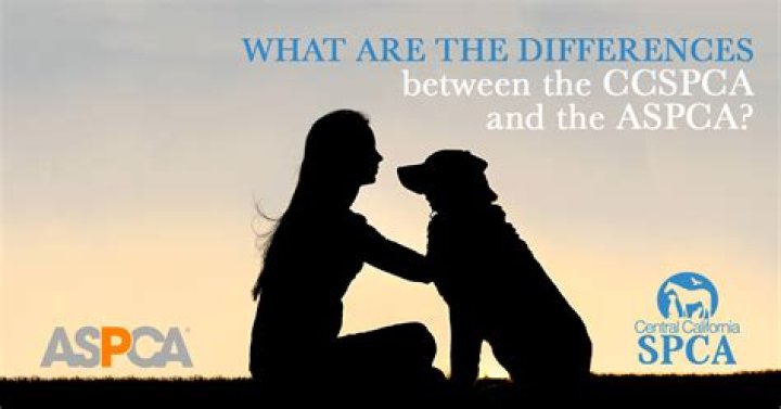 What Is The Difference Between Spca And Aspca