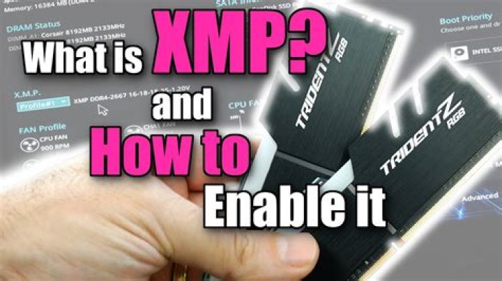 What is xmp - How To Discuss