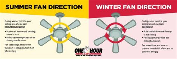 Which Way Should A Fan Turn