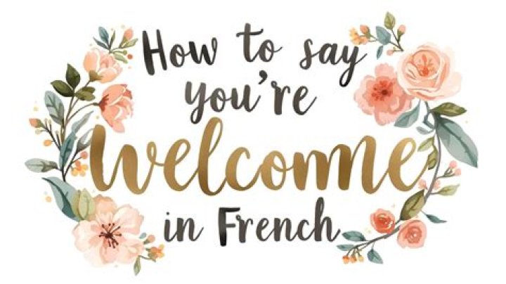 Your Welcome In French - How To Discuss